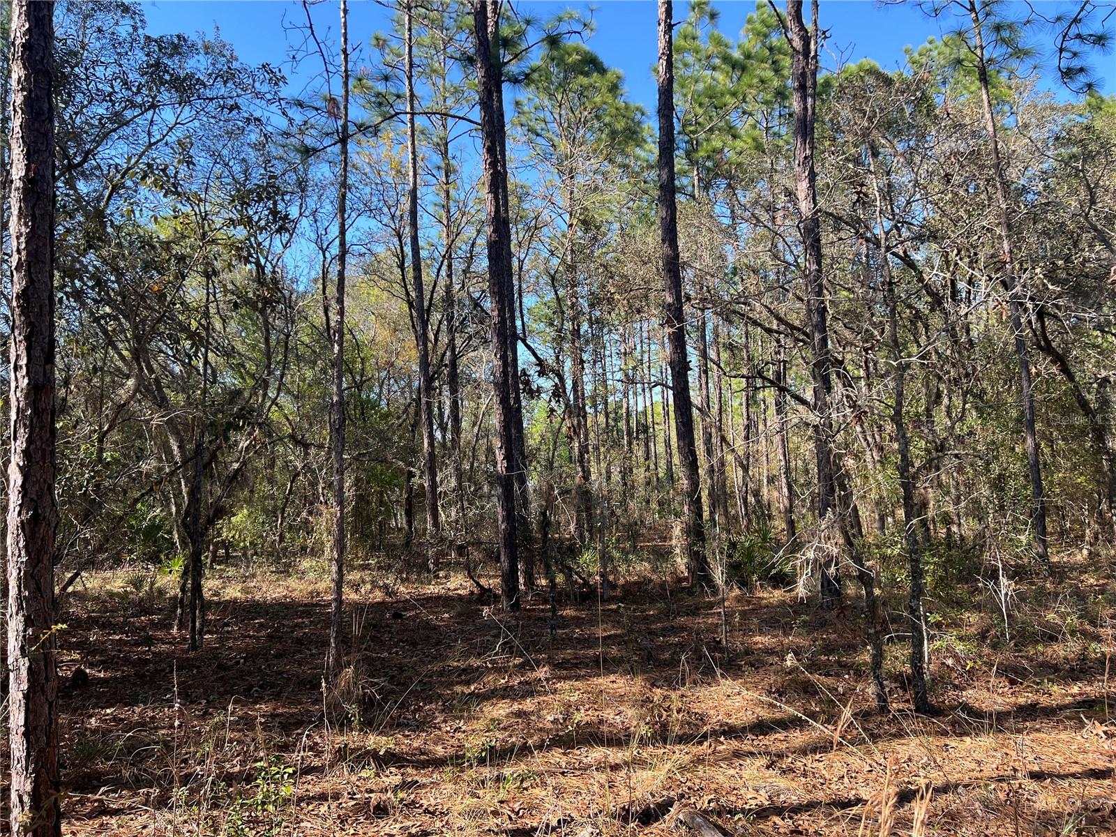 Image 2 of 7 For 4061 Little Dove Terrace