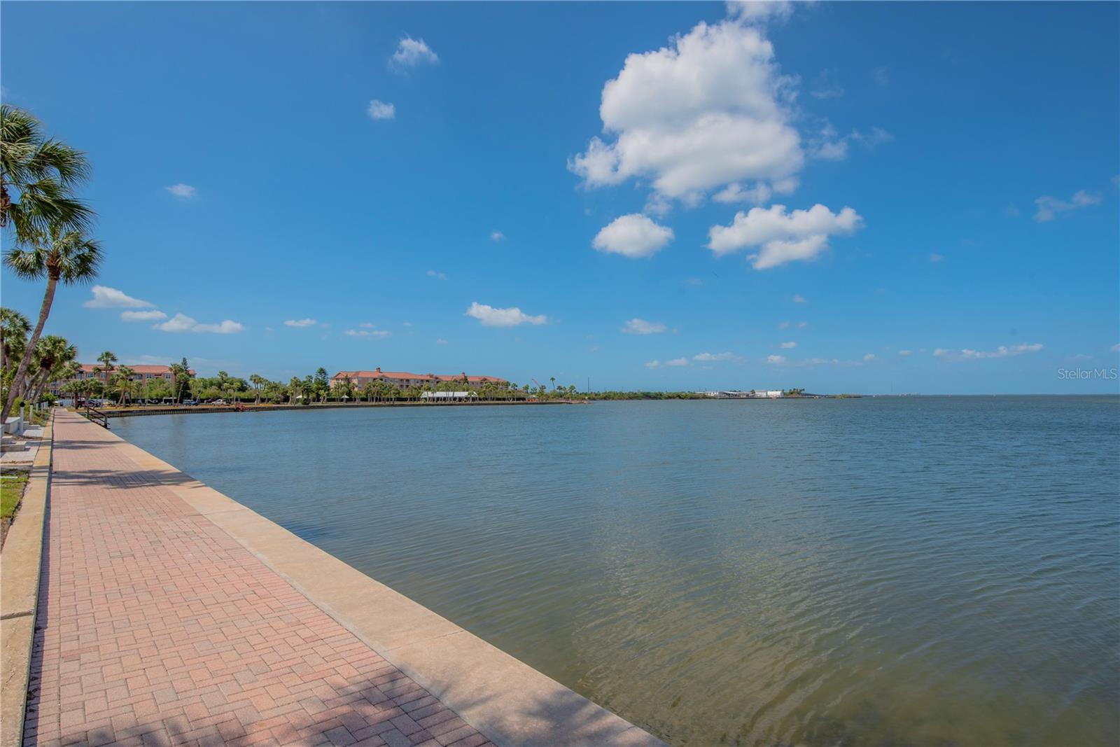 Image 48 of 58 For 4851 Gandy Boulevard 23c