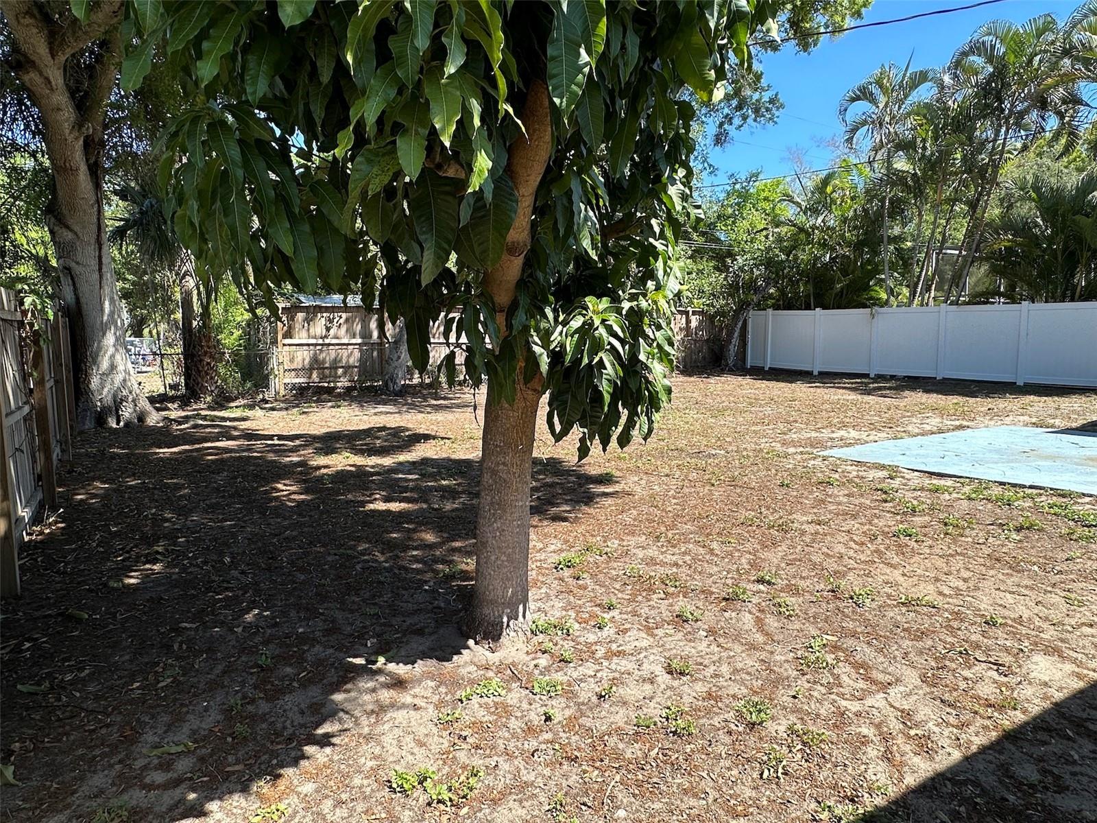 Image 23 of 23 For 1320 Mary L Road