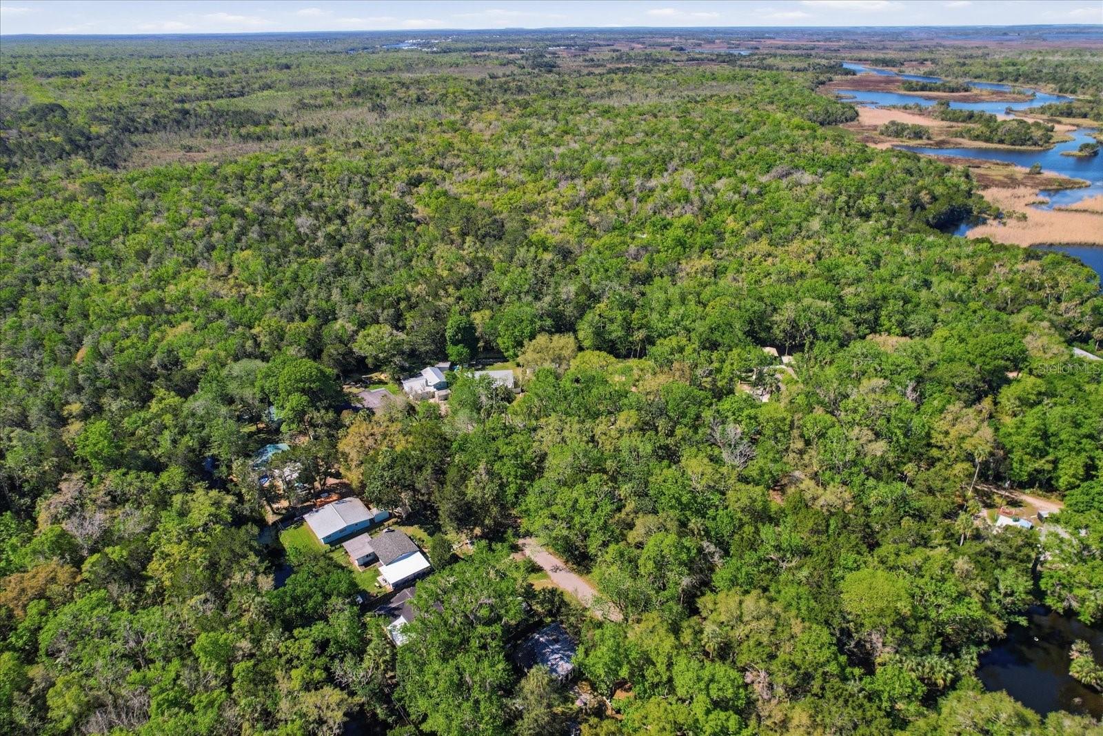 Image 42 of 67 For 8952 White Dogwood Drive