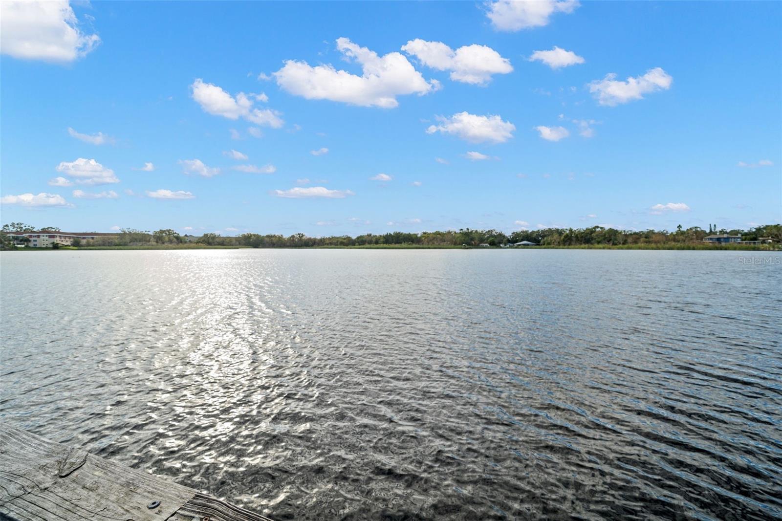 Image 35 of 39 For 2433 Brazilia Drive 41