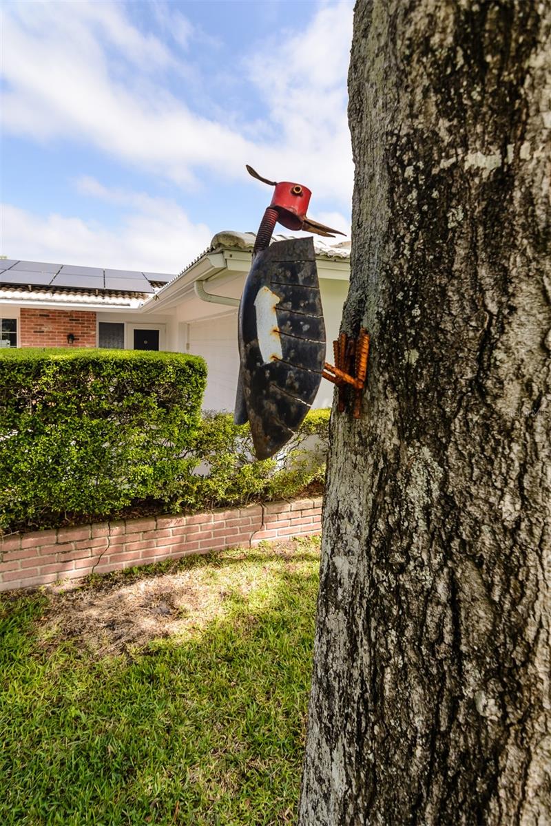 Image 4 of 47 For 1228 Inverness Drive