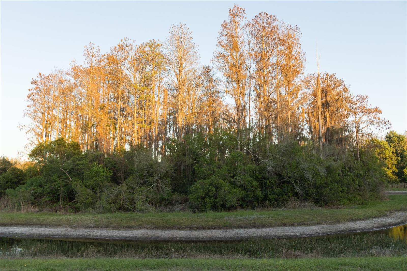 Image 25 of 30 For 3037 Downan Point Drive