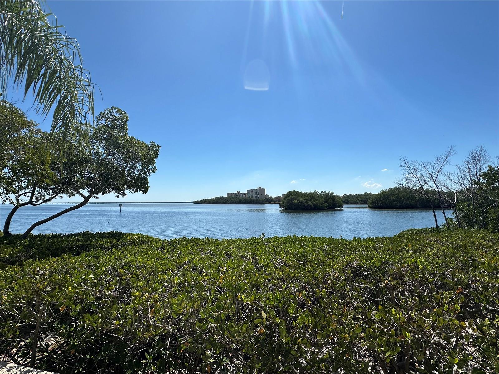 Image 30 of 52 For 2755 Via Capri  1237