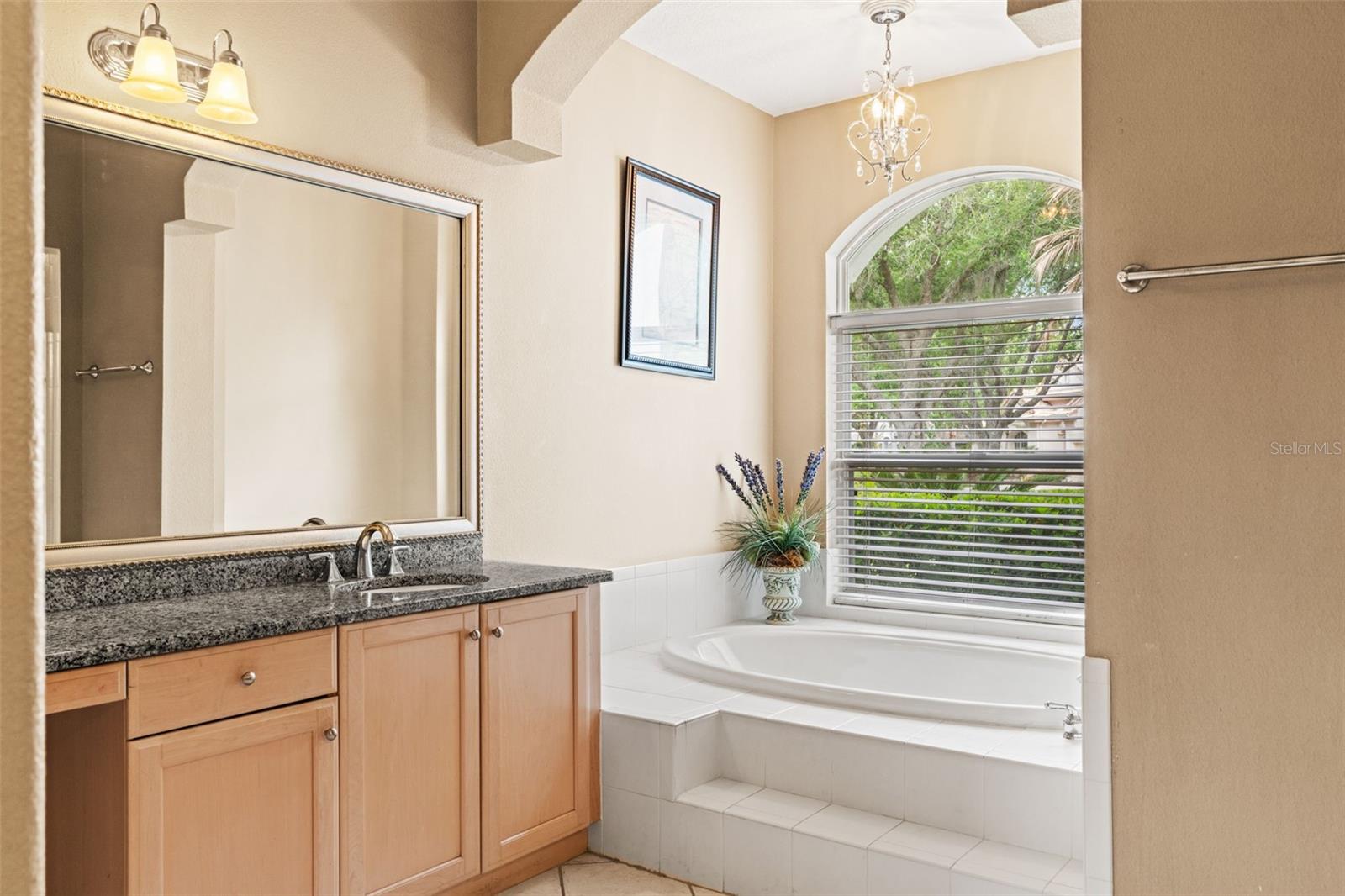 Image 26 of 73 For 17905 Arbor Greene Drive