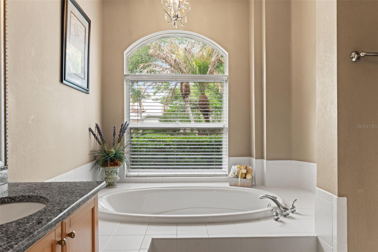 Image 27 of 73 For 17905 Arbor Greene Drive