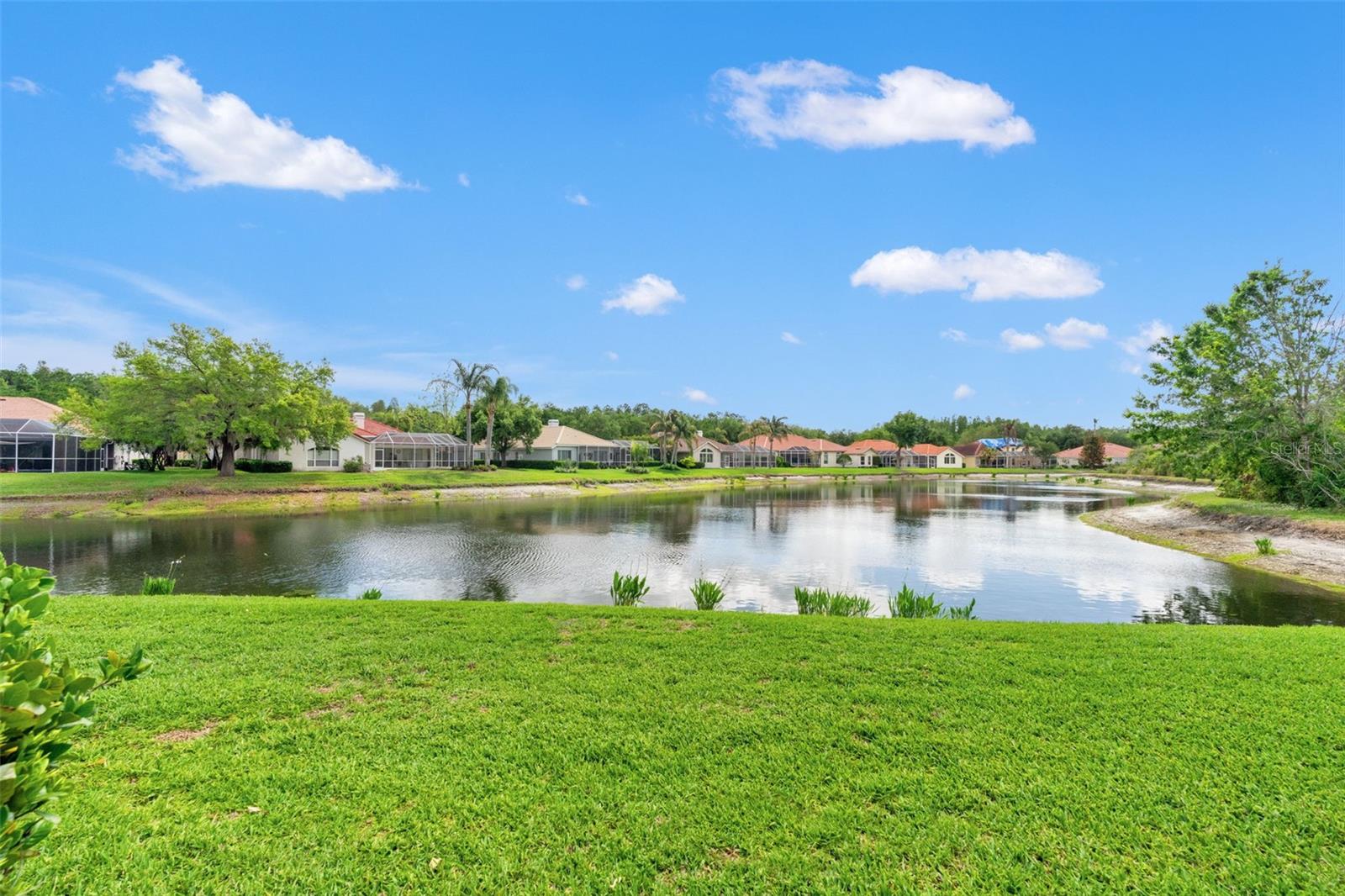 Image 5 of 73 For 17905 Arbor Greene Drive