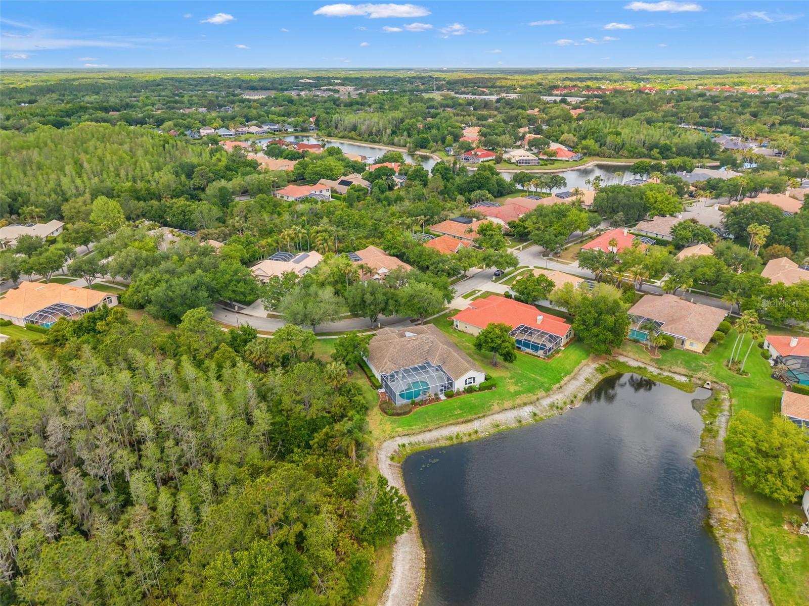 Image 6 of 73 For 17905 Arbor Greene Drive