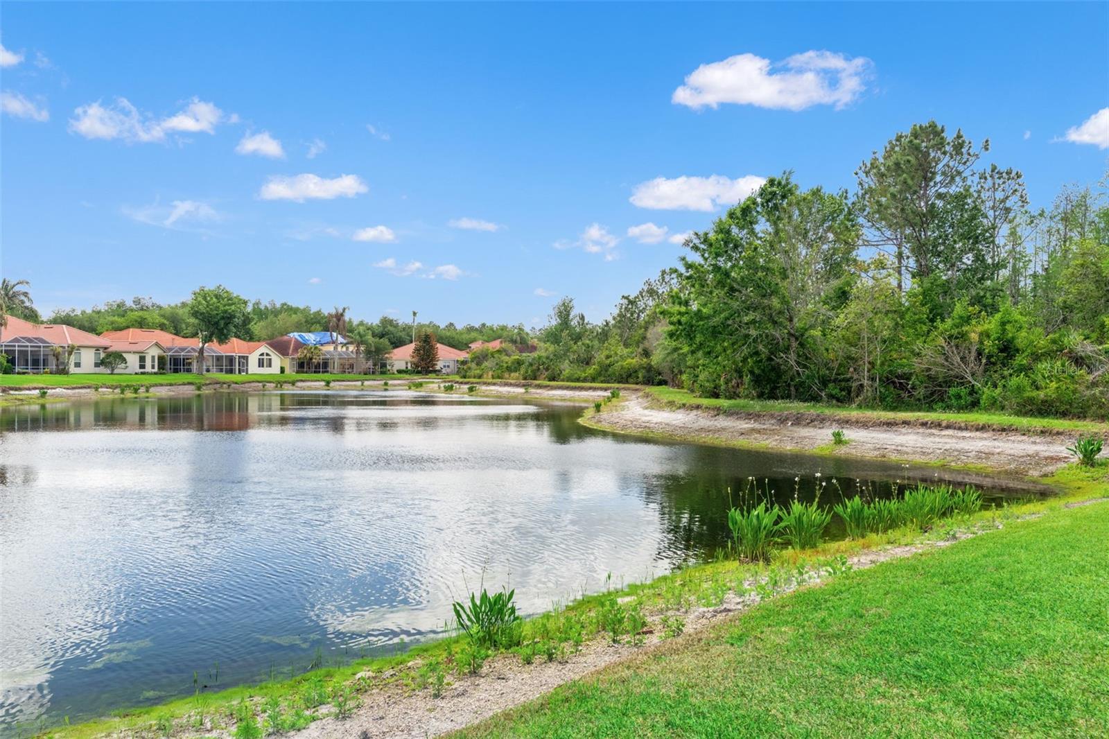 Image 66 of 73 For 17905 Arbor Greene Drive