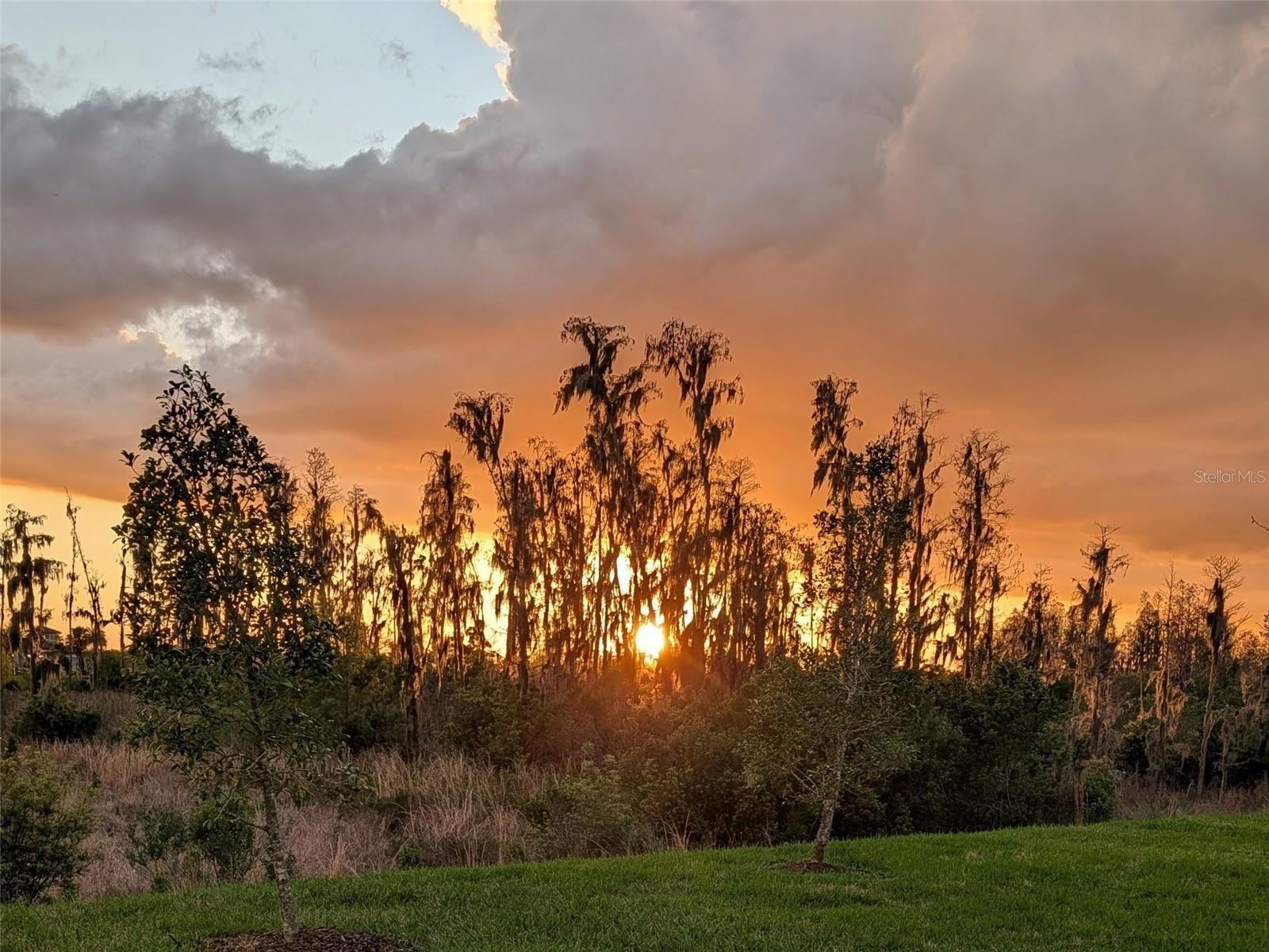 Image 73 of 73 For 32558 Tree Of Life Avenue