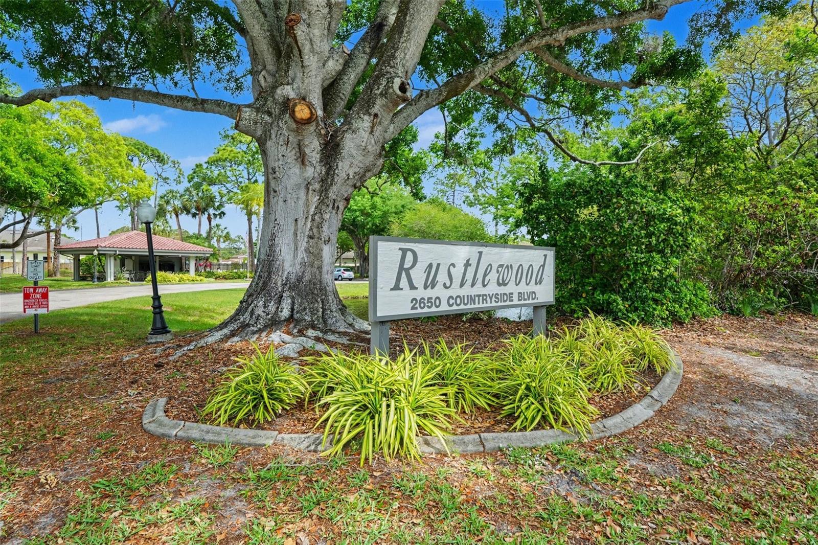 Image 21 of 29 For 2650 Countryside Boulevard E 204