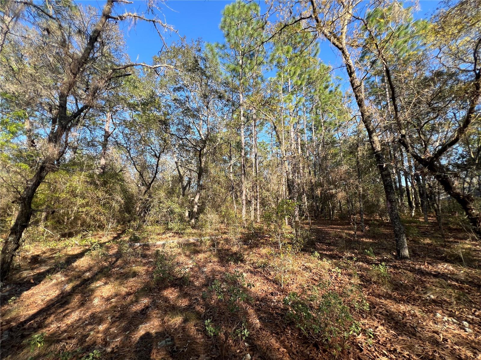 Image 3 of 9 For 3968 Indianhead Road