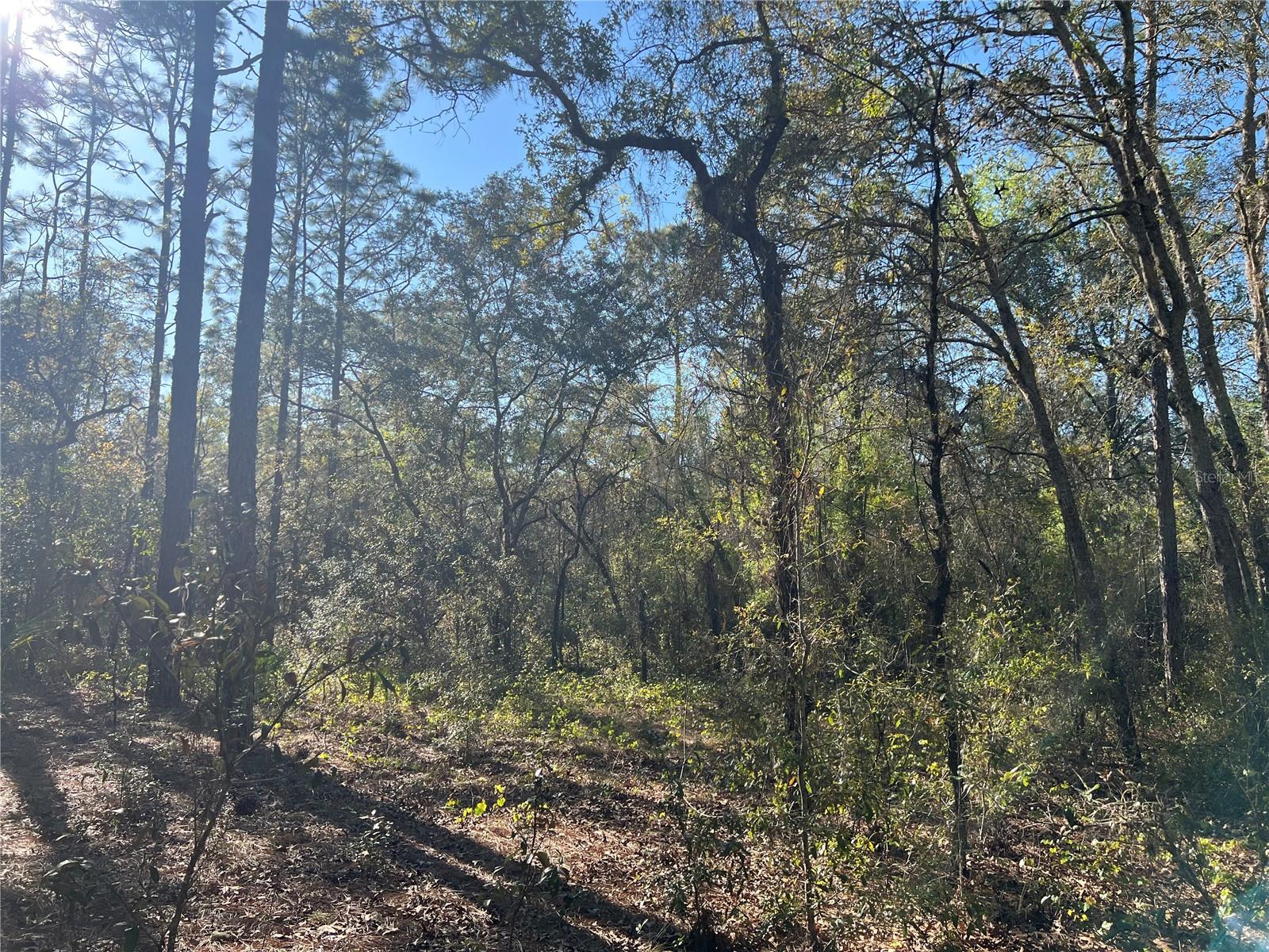 Image 4 of 9 For 3968 Indianhead Road