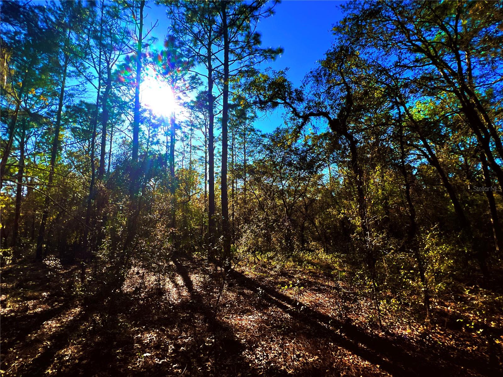 Image 8 of 9 For 3968 Indianhead Road