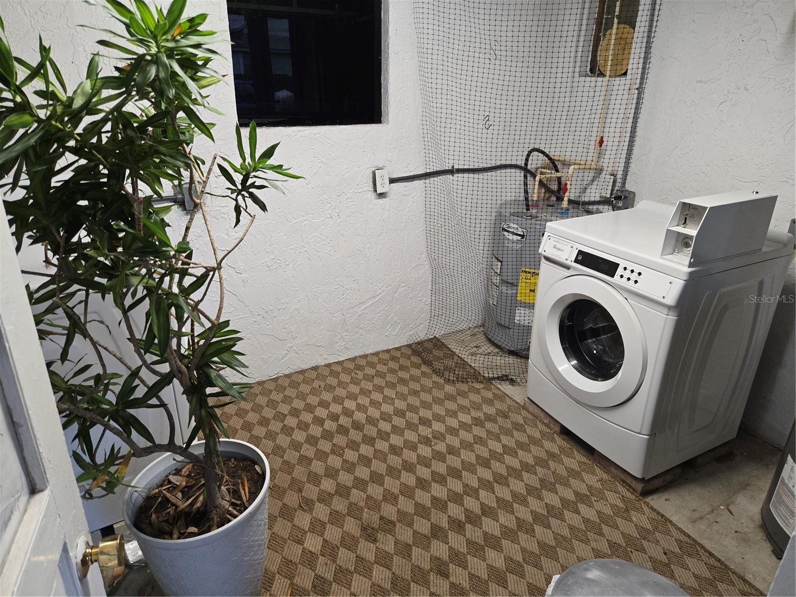 Image 7 of 9 For 101 Lemon Street 3