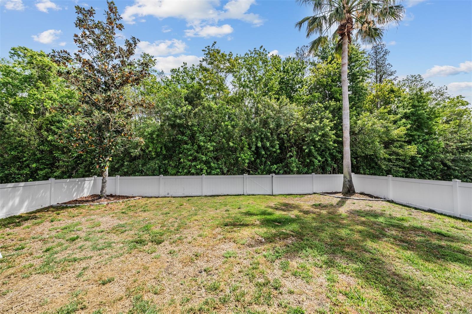 Listing photo id 21 for 2634 Palesta Drive