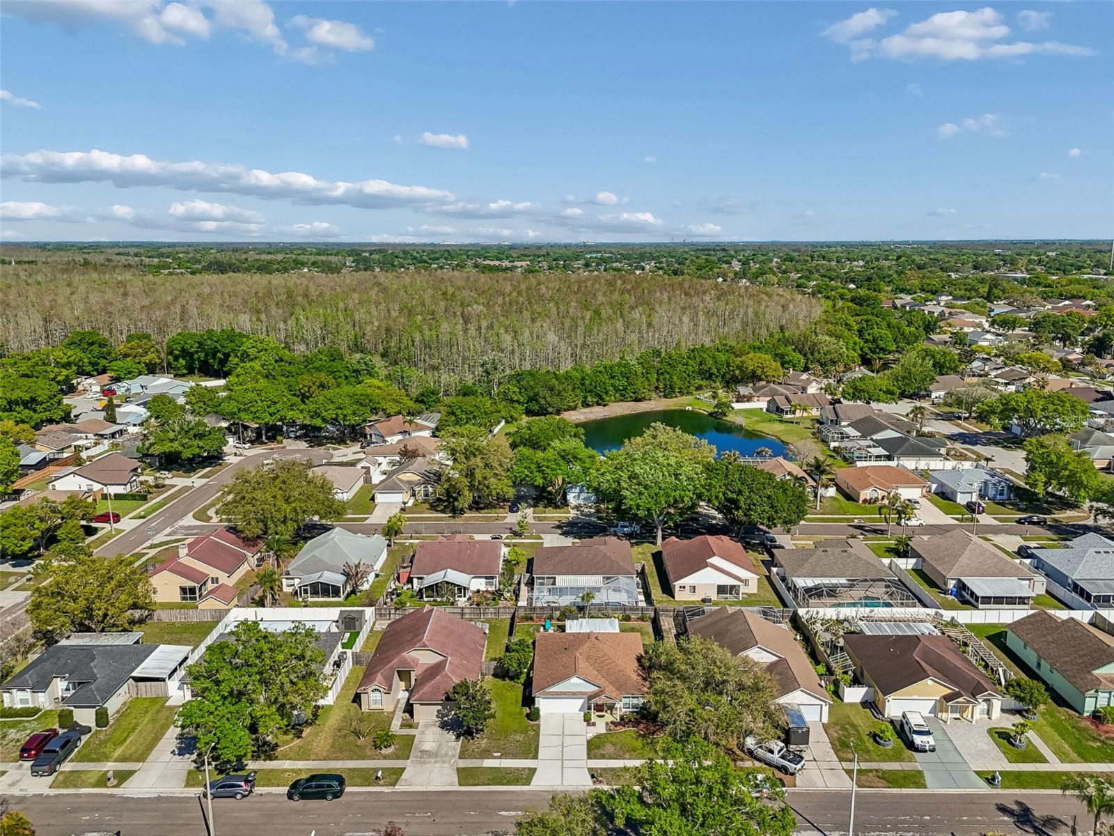 Image 56 of 61 For 11029 Streamside Drive