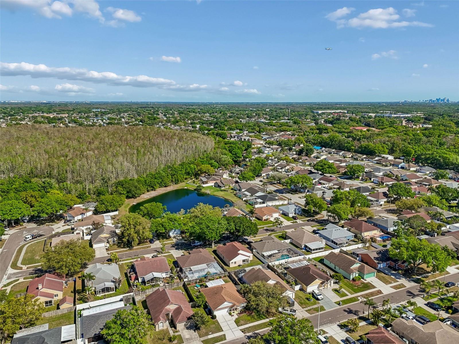 Image 57 of 61 For 11029 Streamside Drive