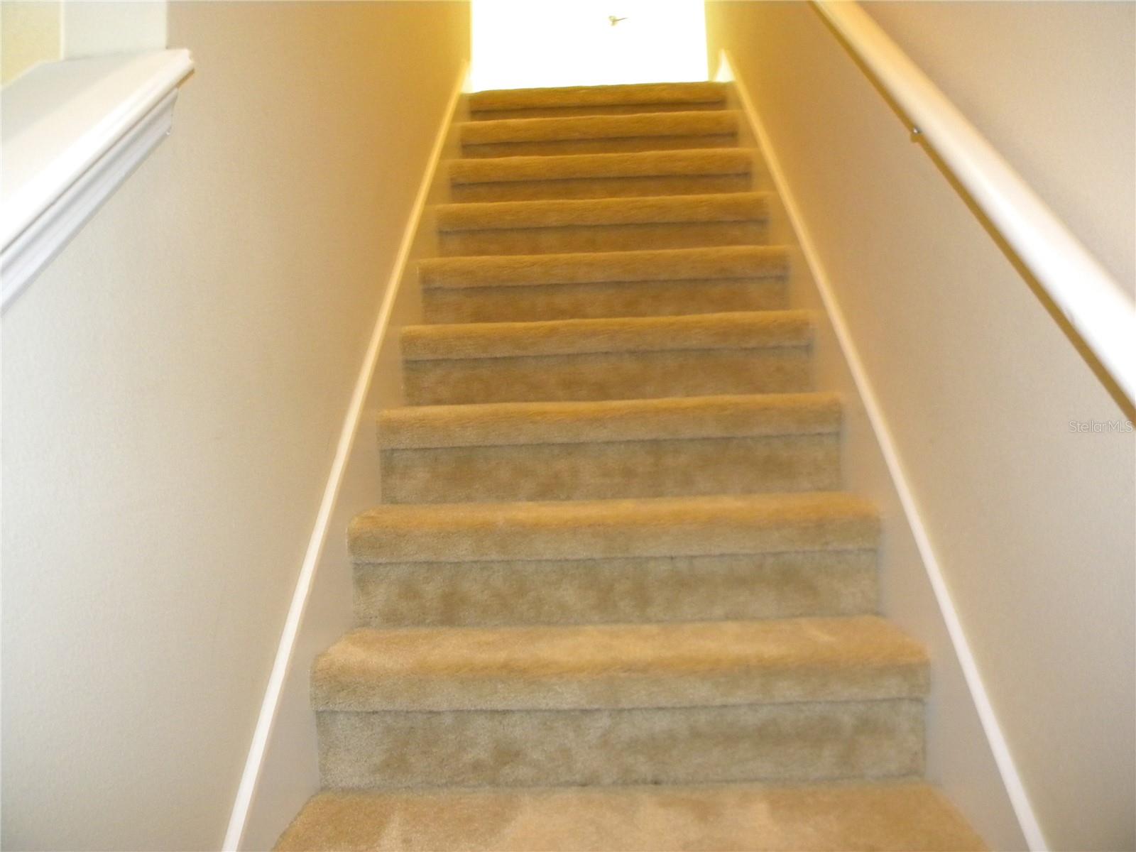 Image 42 of 49 For 7810 Tuscany Woods Drive