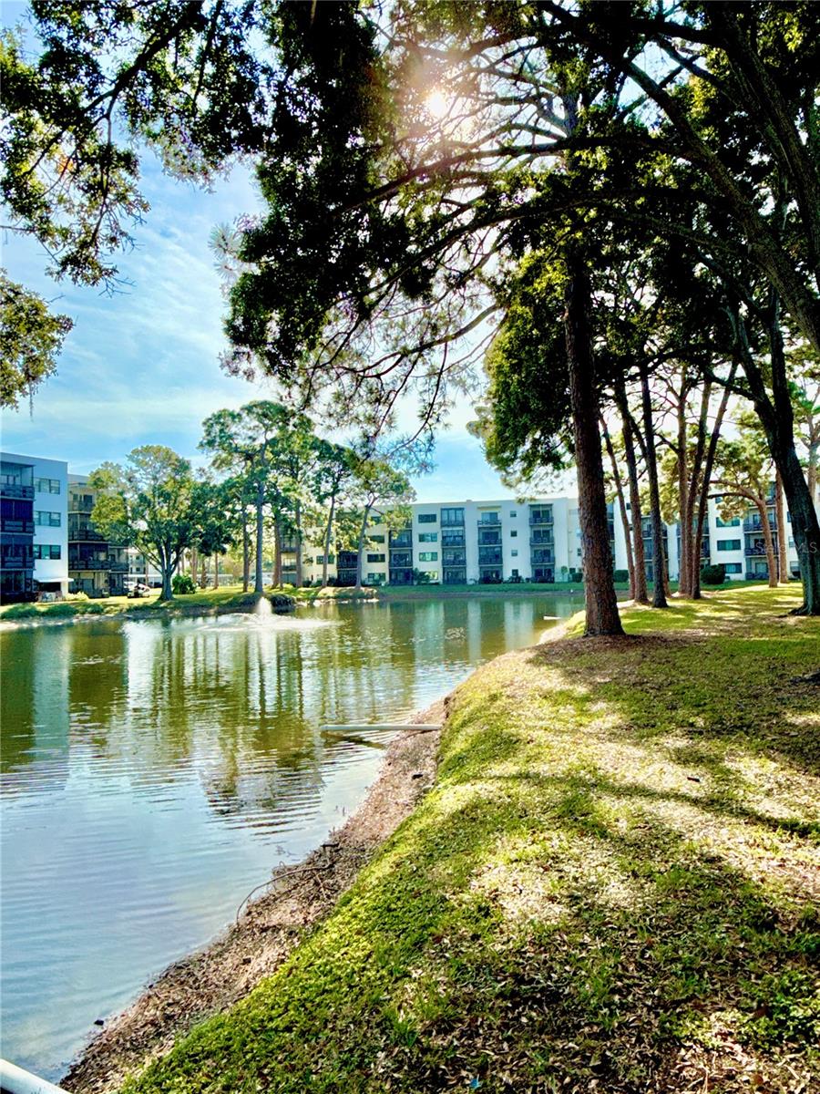 Image 3 of 46 For 5970 80th Street N 411