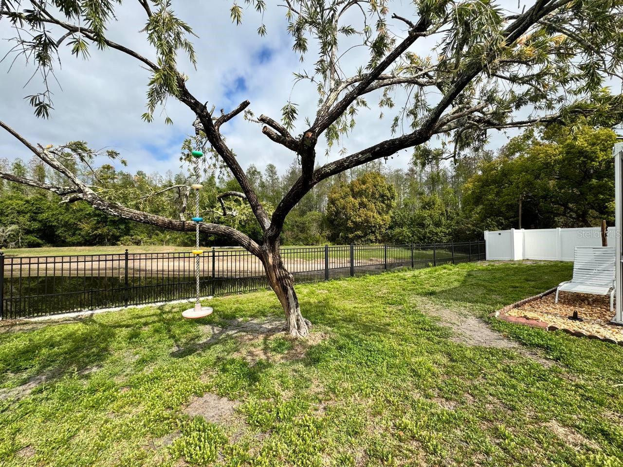 Image 53 of 53 For 5333 Casa Nueva Drive