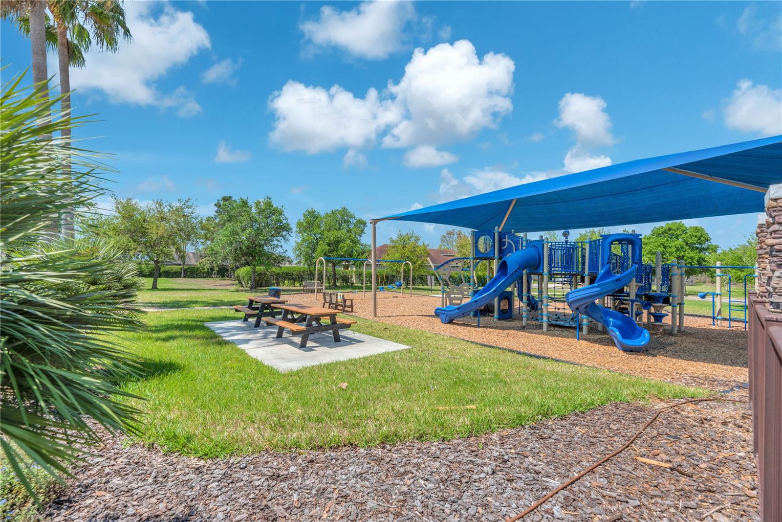 Listing photo id 40 for 11236 77th Street E