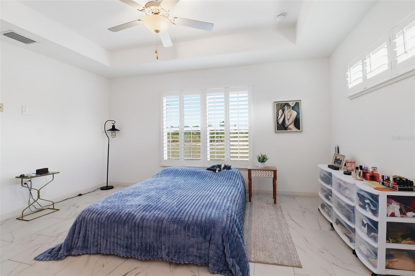 Image 29 of 36 For 117 Paxton Street