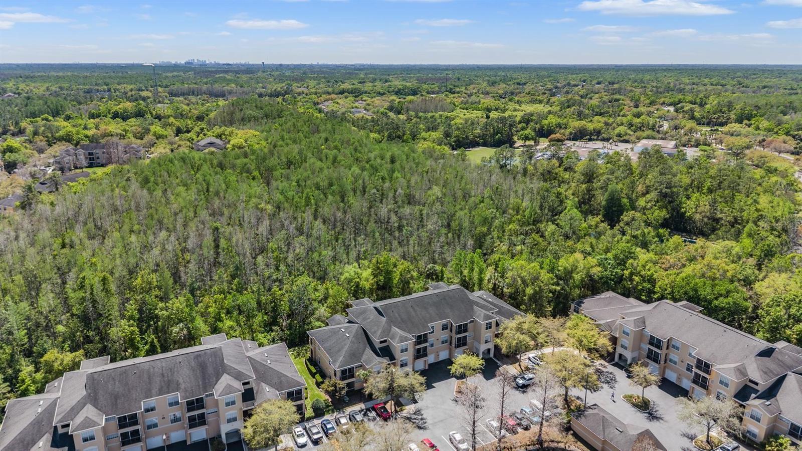 Image 35 of 41 For 5125 Palm Springs Boulevard 14208