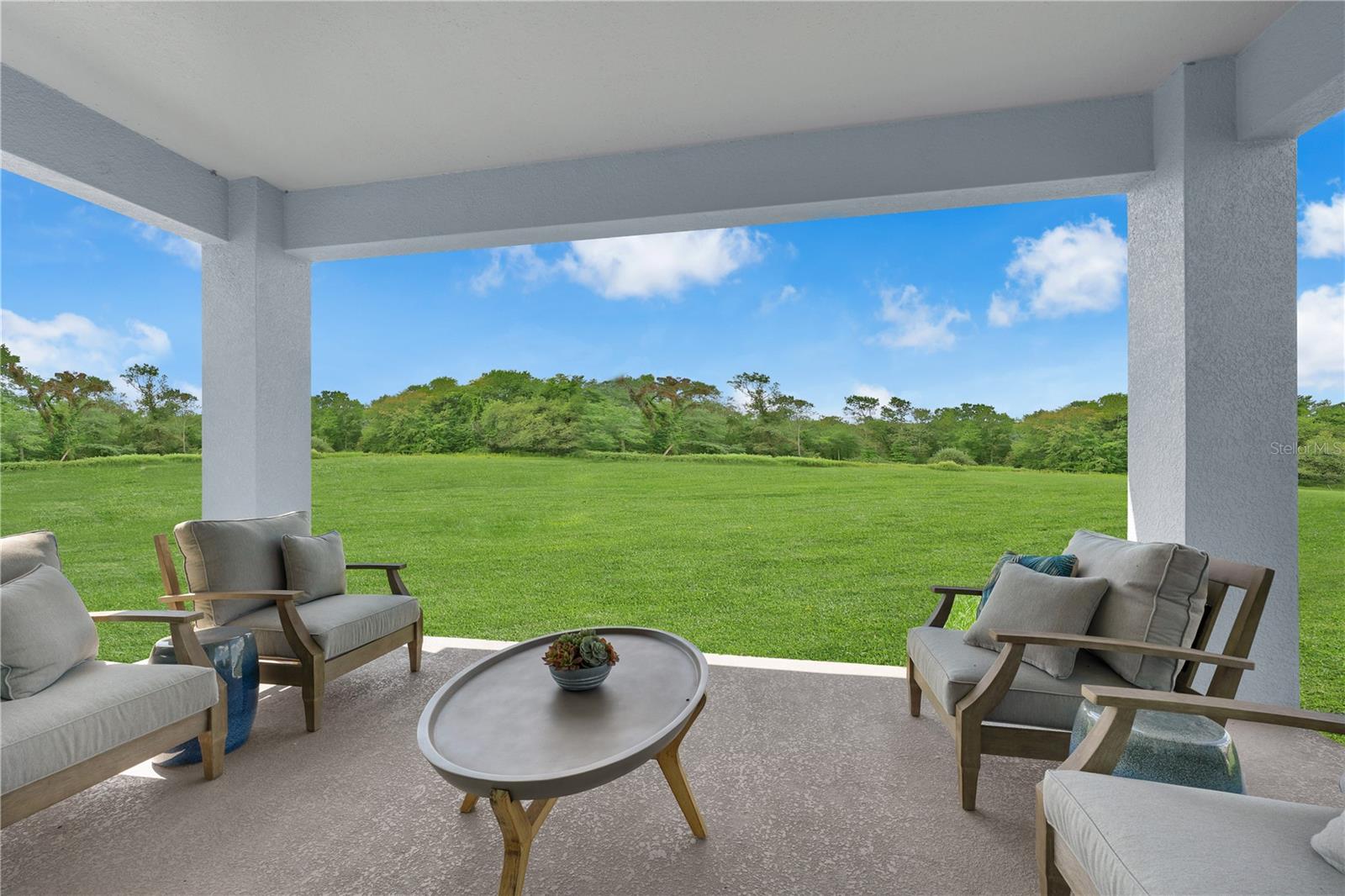 Image 40 of 46 For 10168 Morning Meadowlark Trail