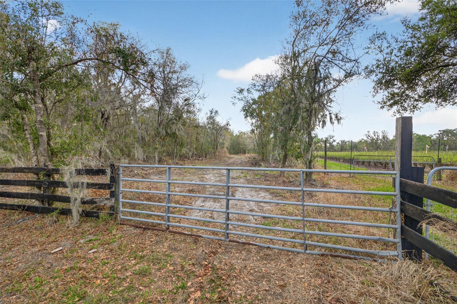 Image 2 of 13 For 11803 Dog Hollow Lane