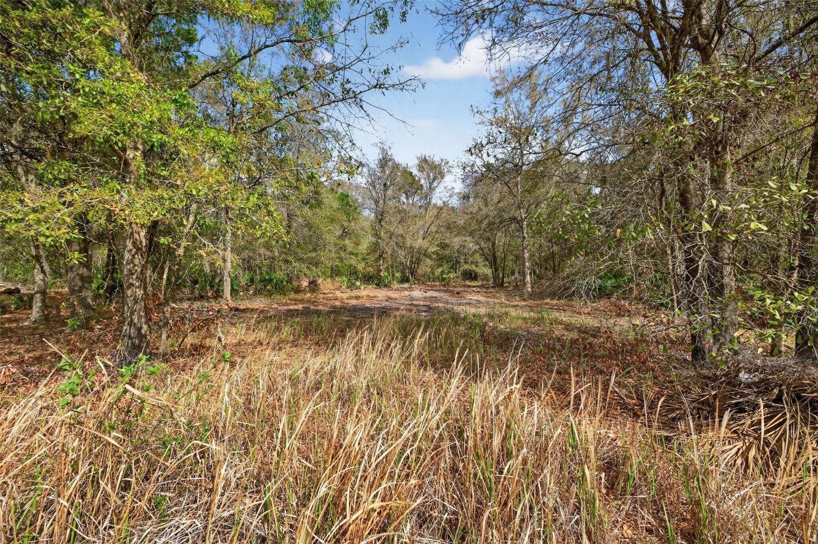 Image 6 of 13 For 11803 Dog Hollow Lane