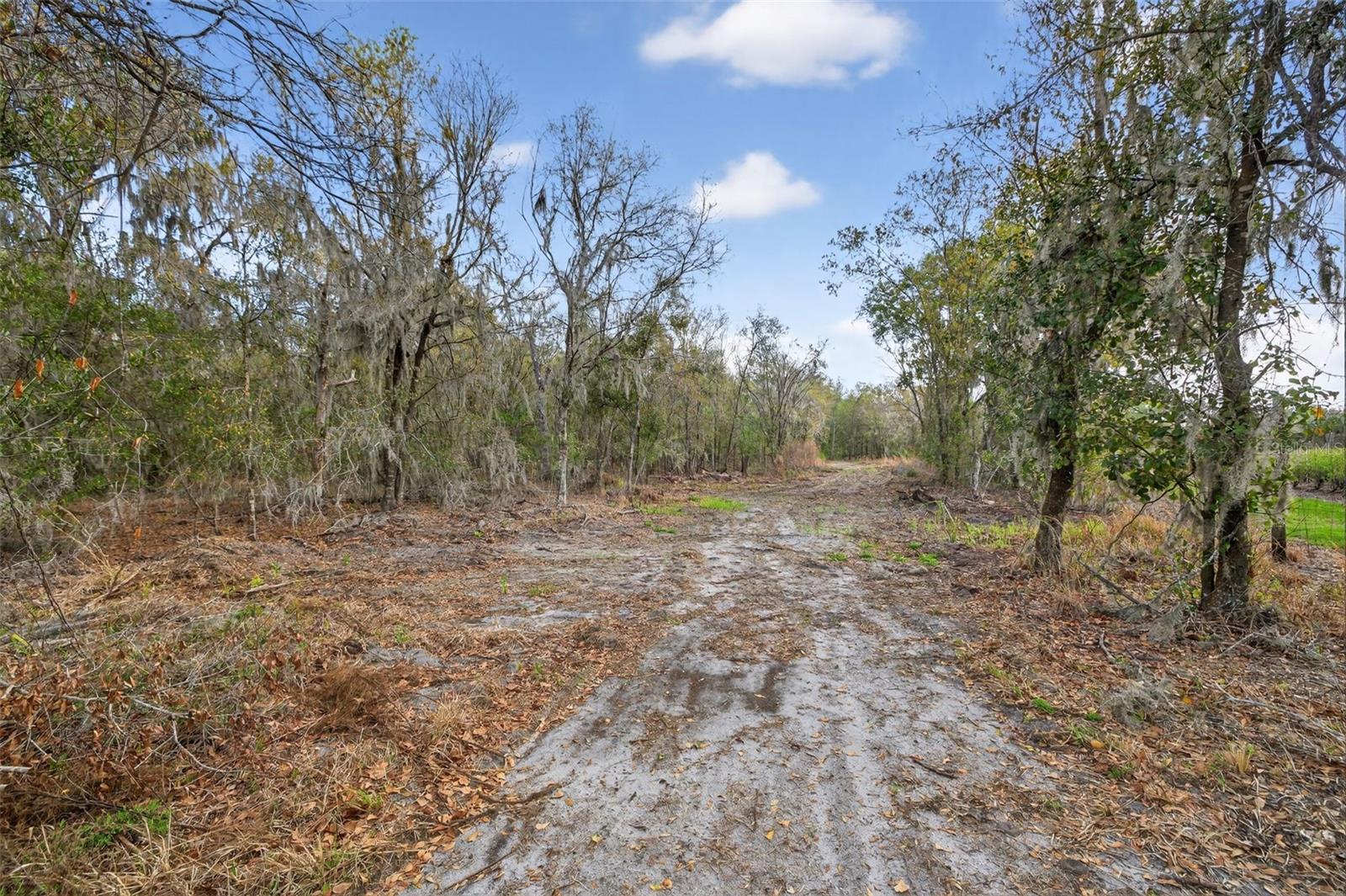 Image 7 of 13 For 11803 Dog Hollow Lane