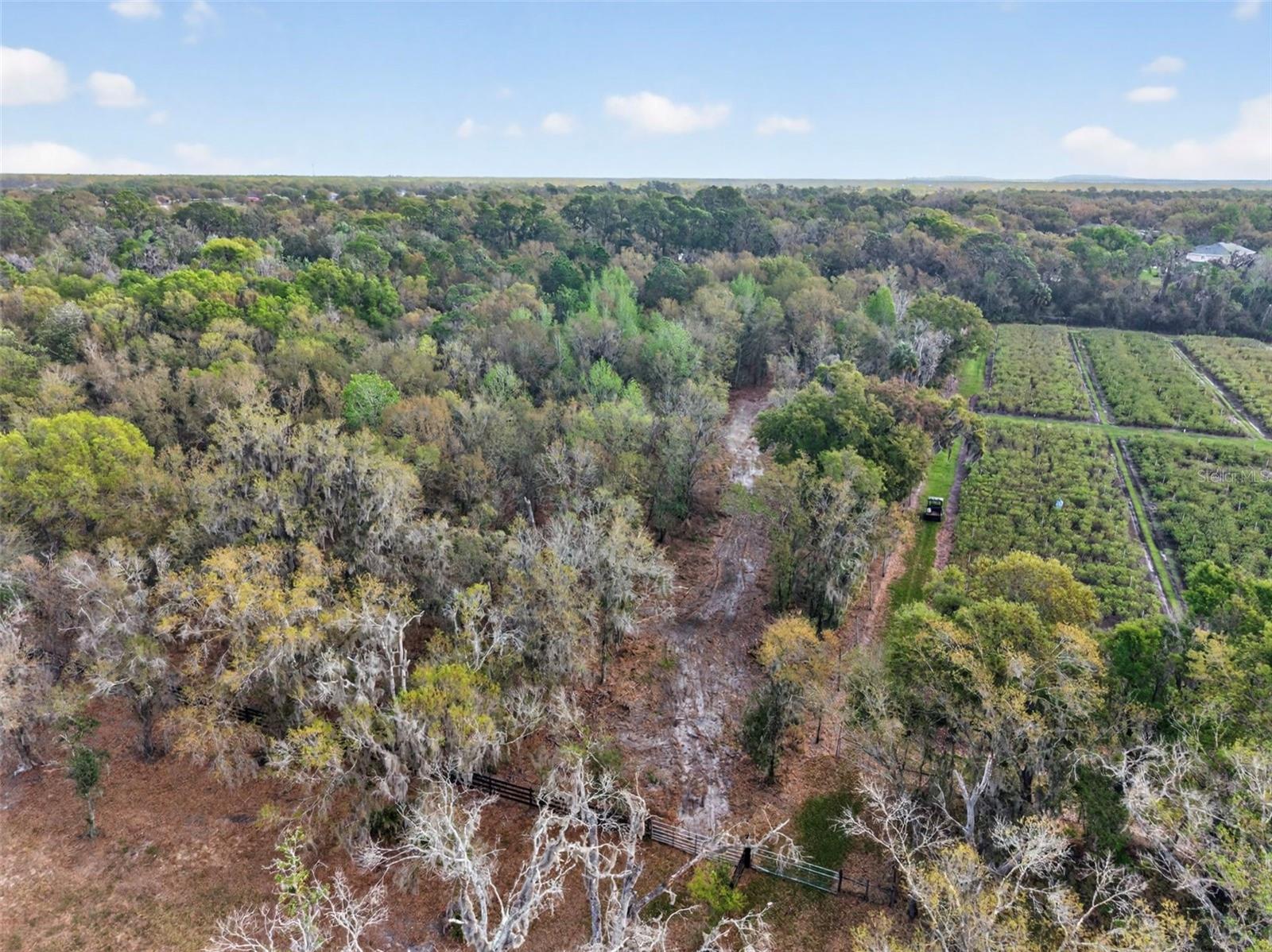 Image 8 of 13 For 11803 Dog Hollow Lane