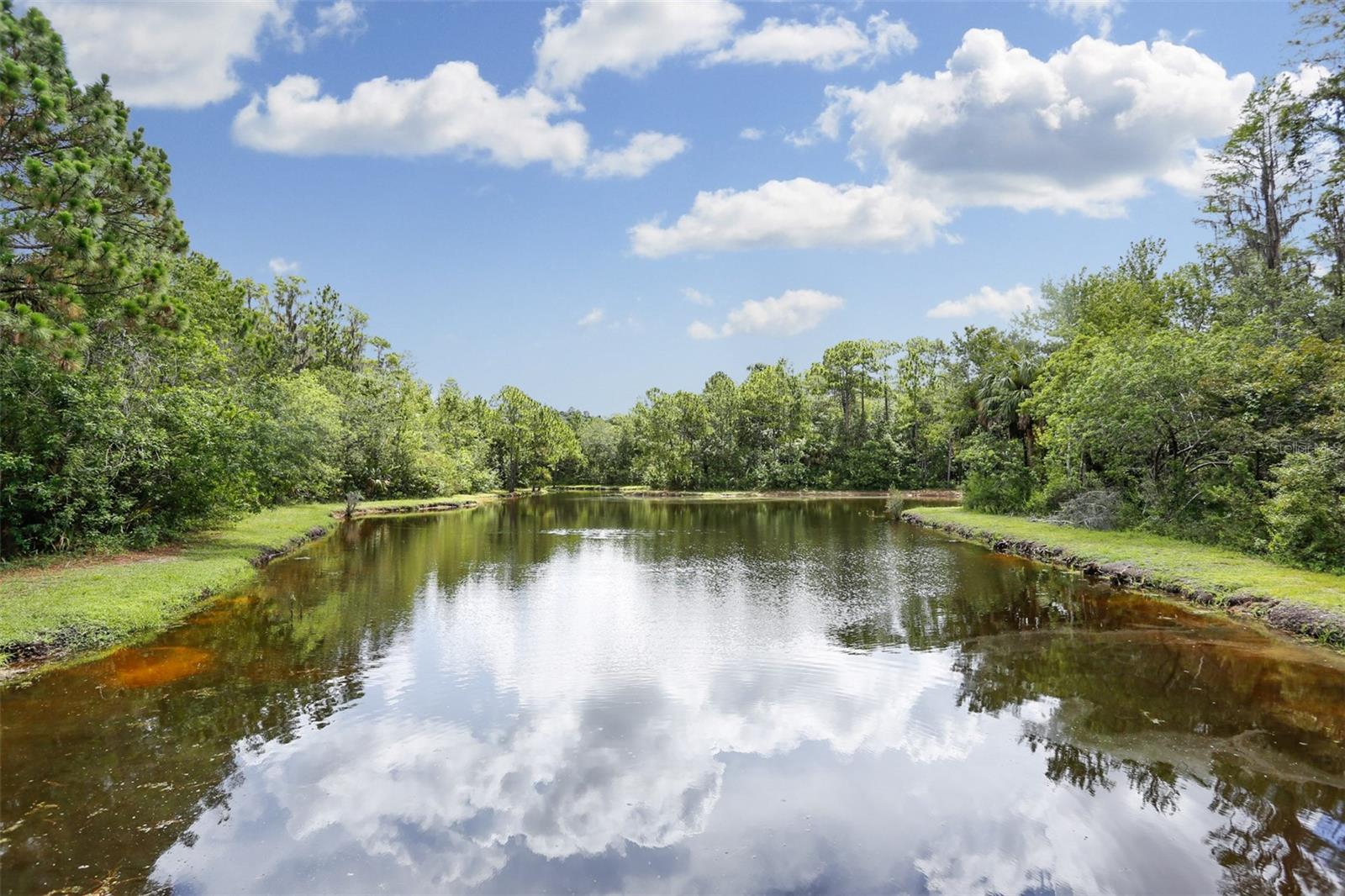 Image 54 of 65 For 10121 Kingsbridge Avenue