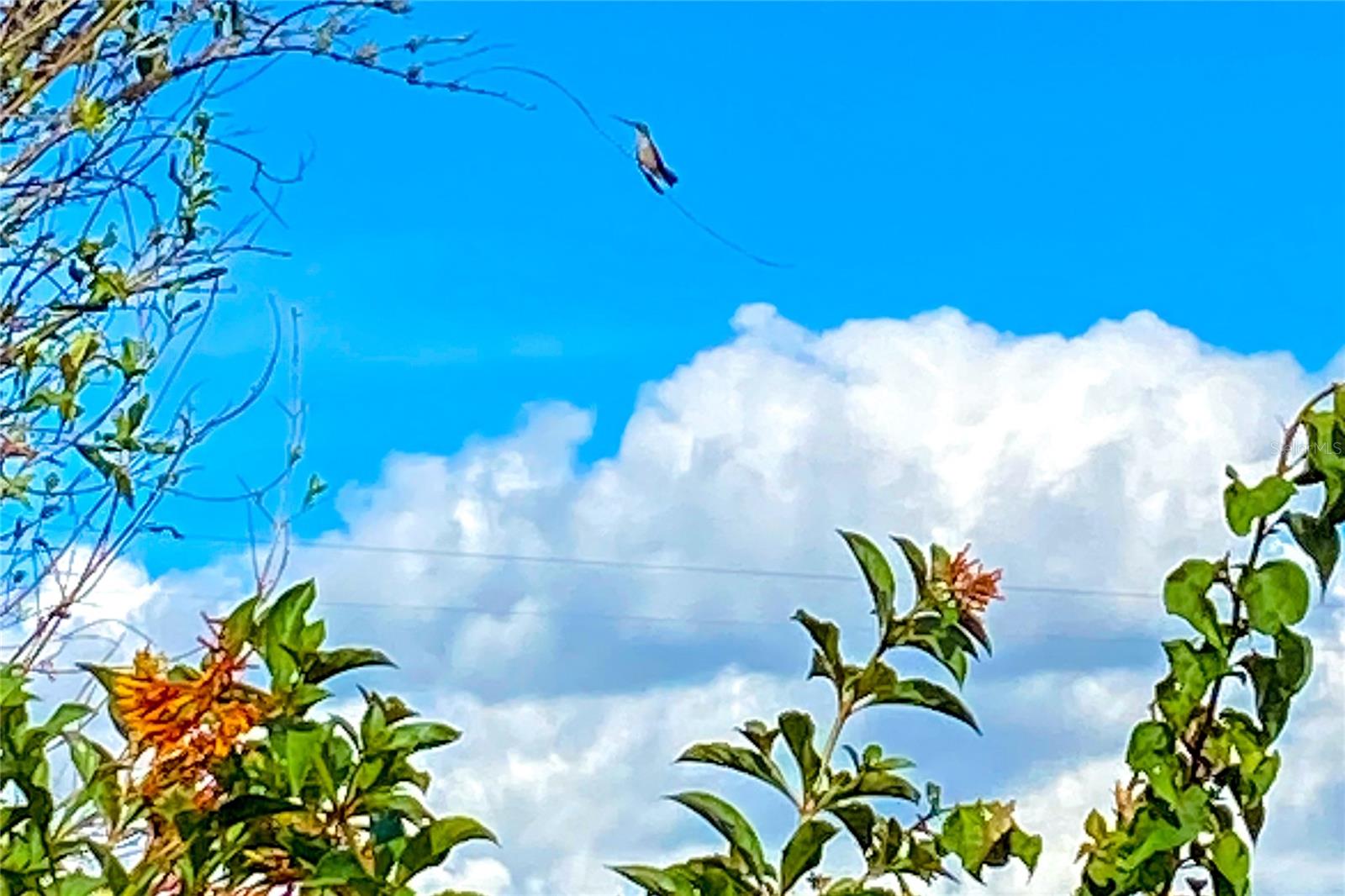 Image 29 of 34 For 989 231st Way