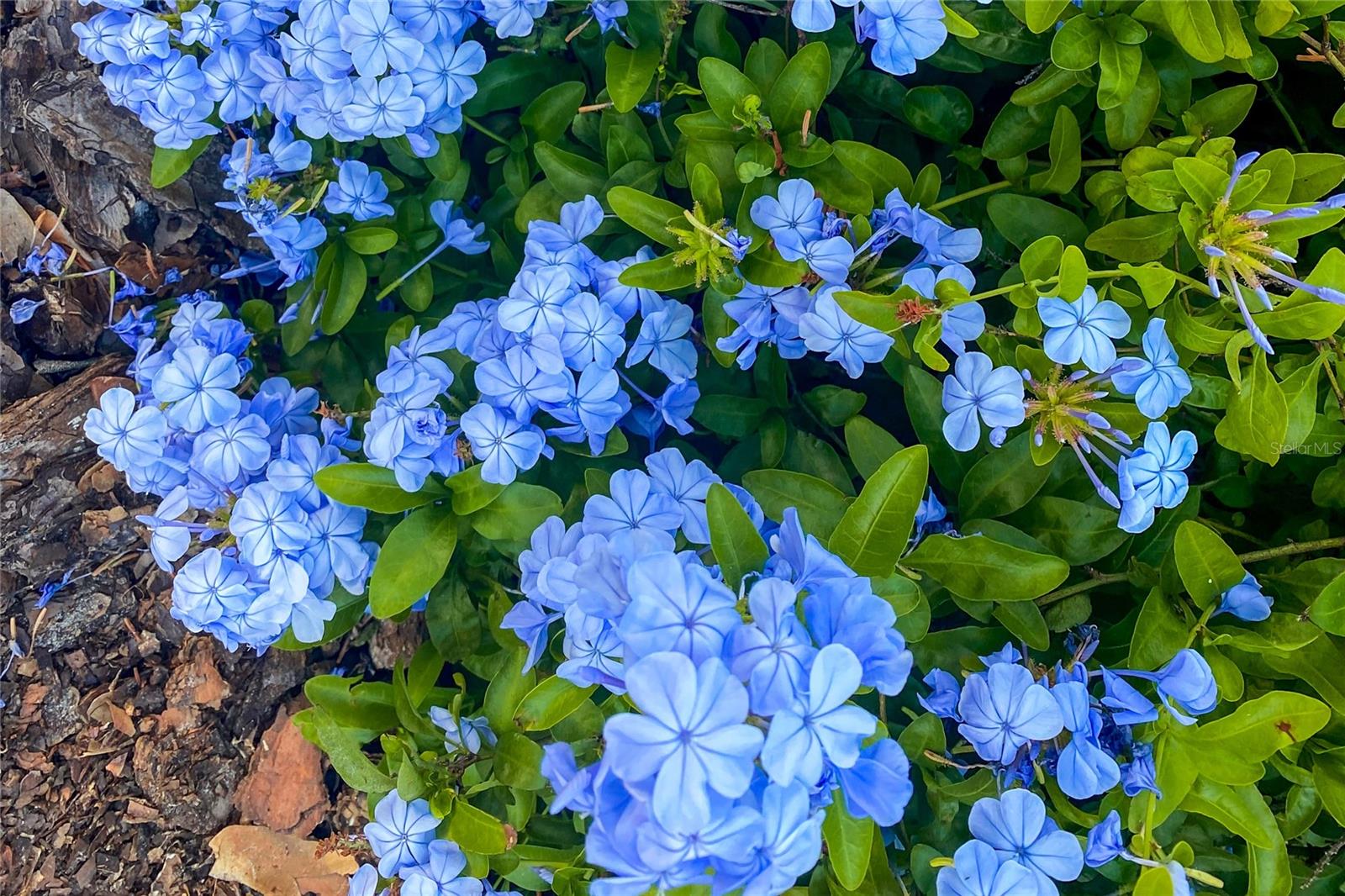 Image 30 of 34 For 989 231st Way