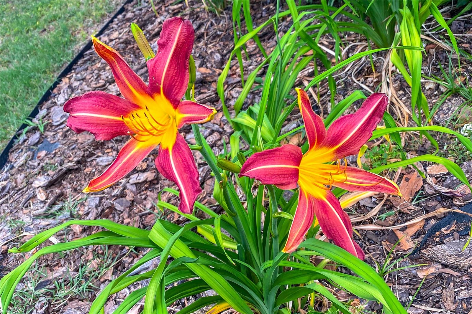 Image 31 of 34 For 989 231st Way