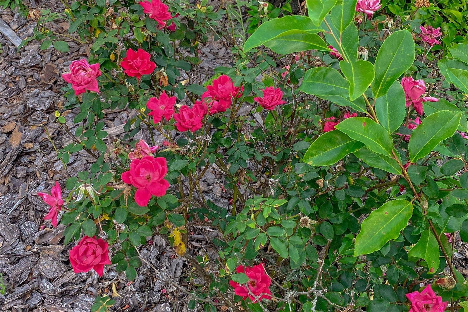 Image 32 of 34 For 989 231st Way