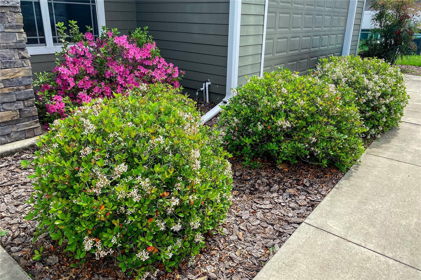 Image 34 of 34 For 989 231st Way