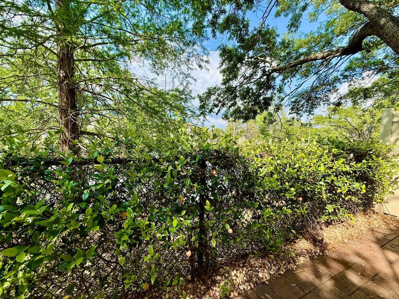 Image 39 of 39 For 505 Tampania Avenue 5