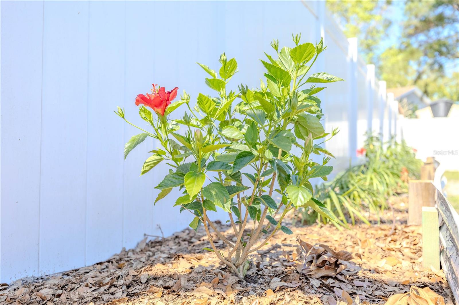 Image 31 of 37 For 10002 Oakengate Place