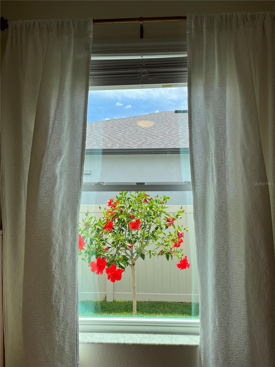 Image 37 of 65 For Address Not Provided