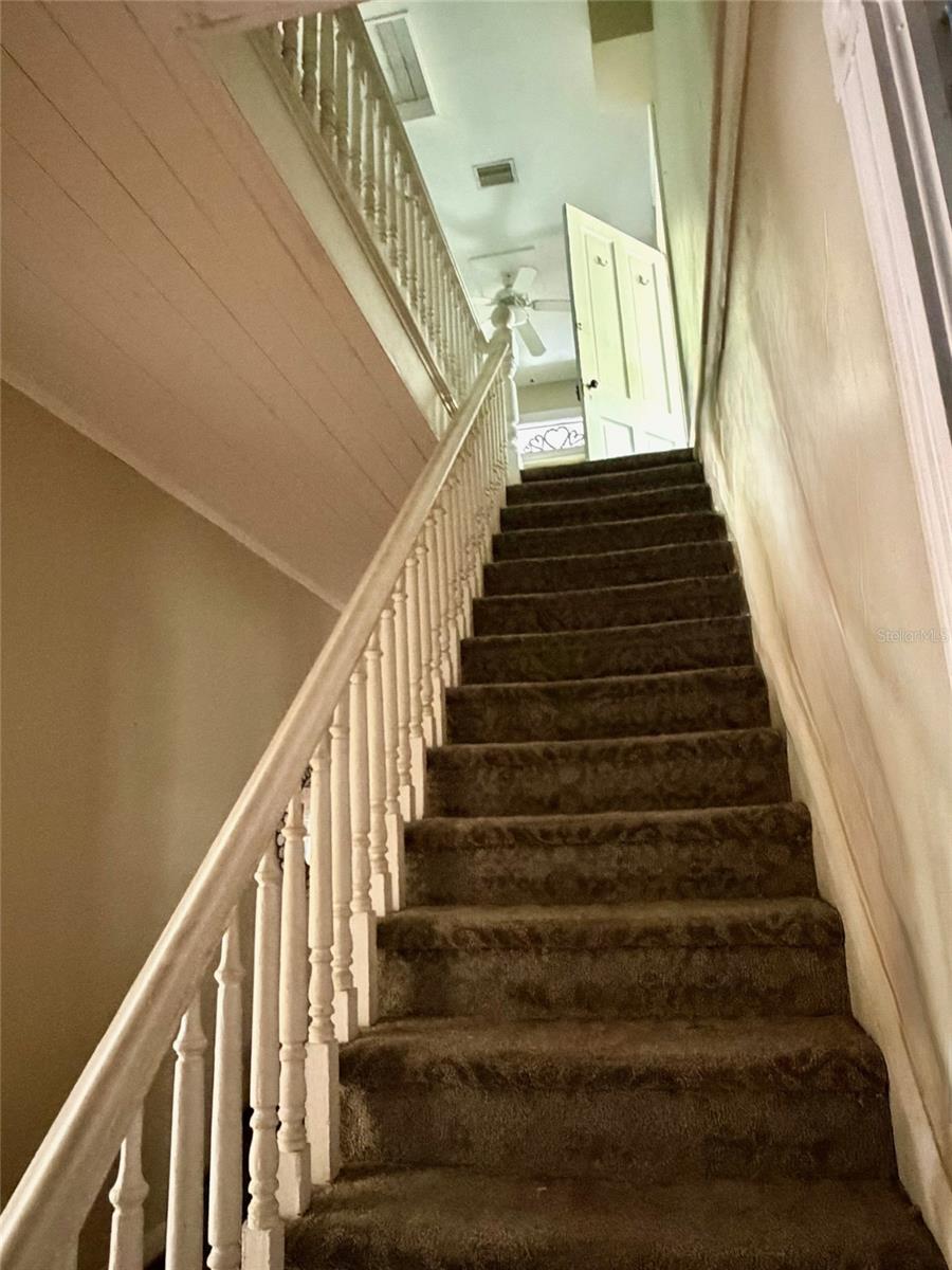 Image 11 of 25 For 117 Brooksville Avenue