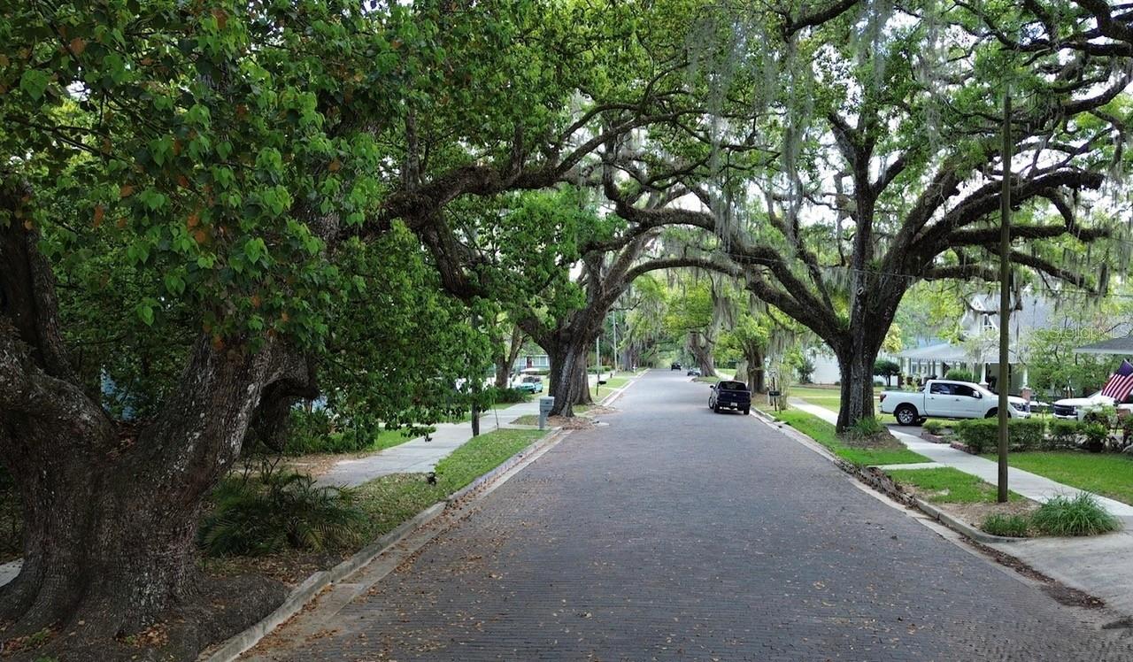 Image 25 of 25 For 117 Brooksville Avenue