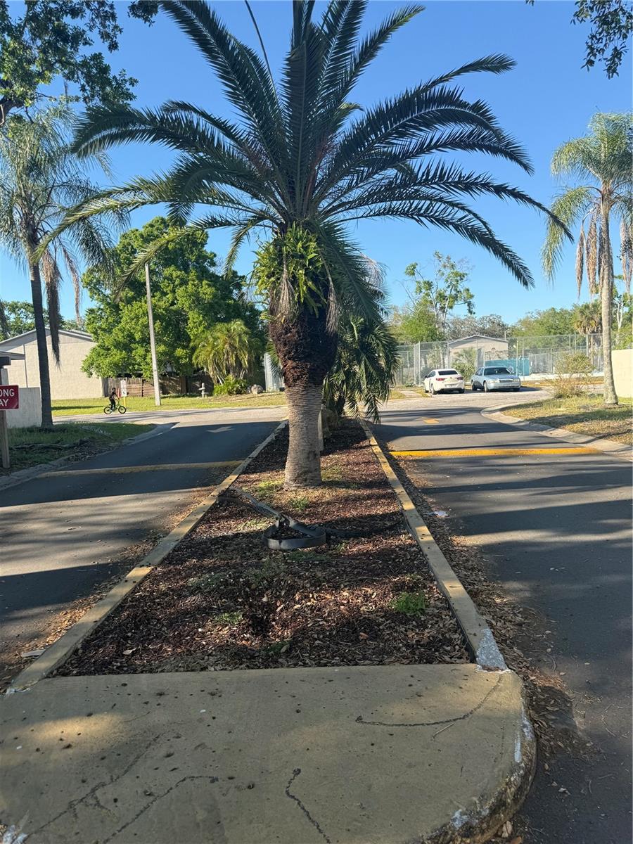 Image 3 of 13 For 5118 Tennis Court Circle