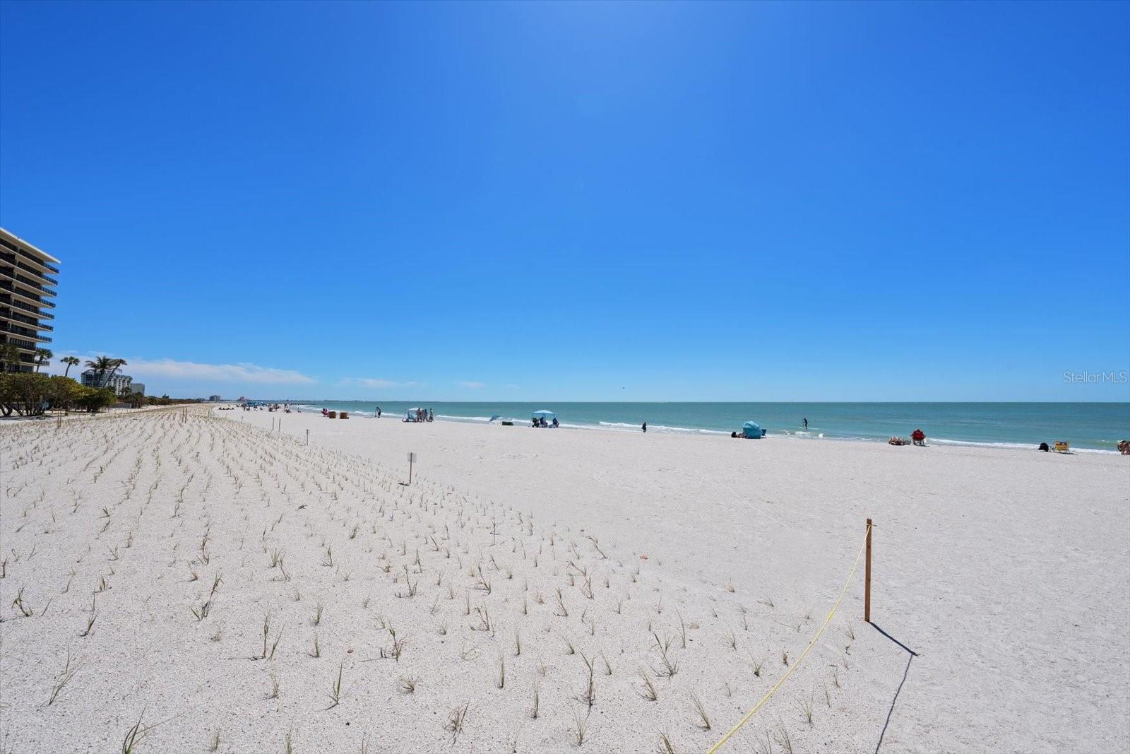 Image 16 of 17 For 145 79th Avenue