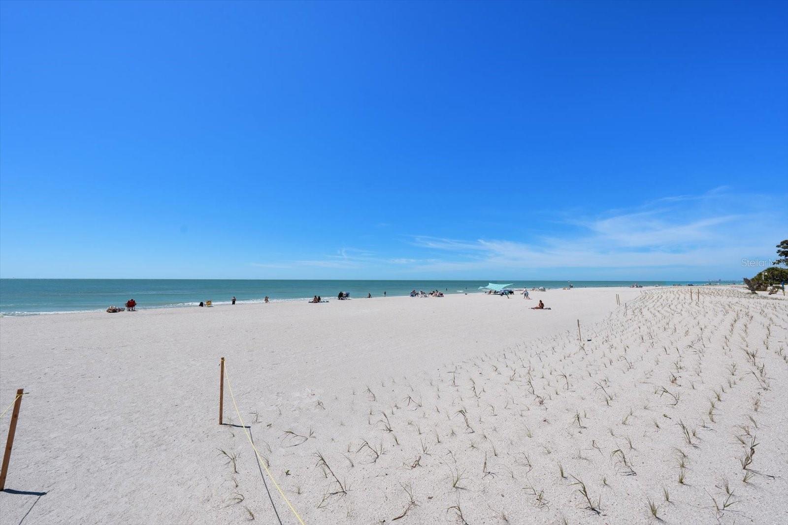 Image 17 of 17 For 145 79th Avenue