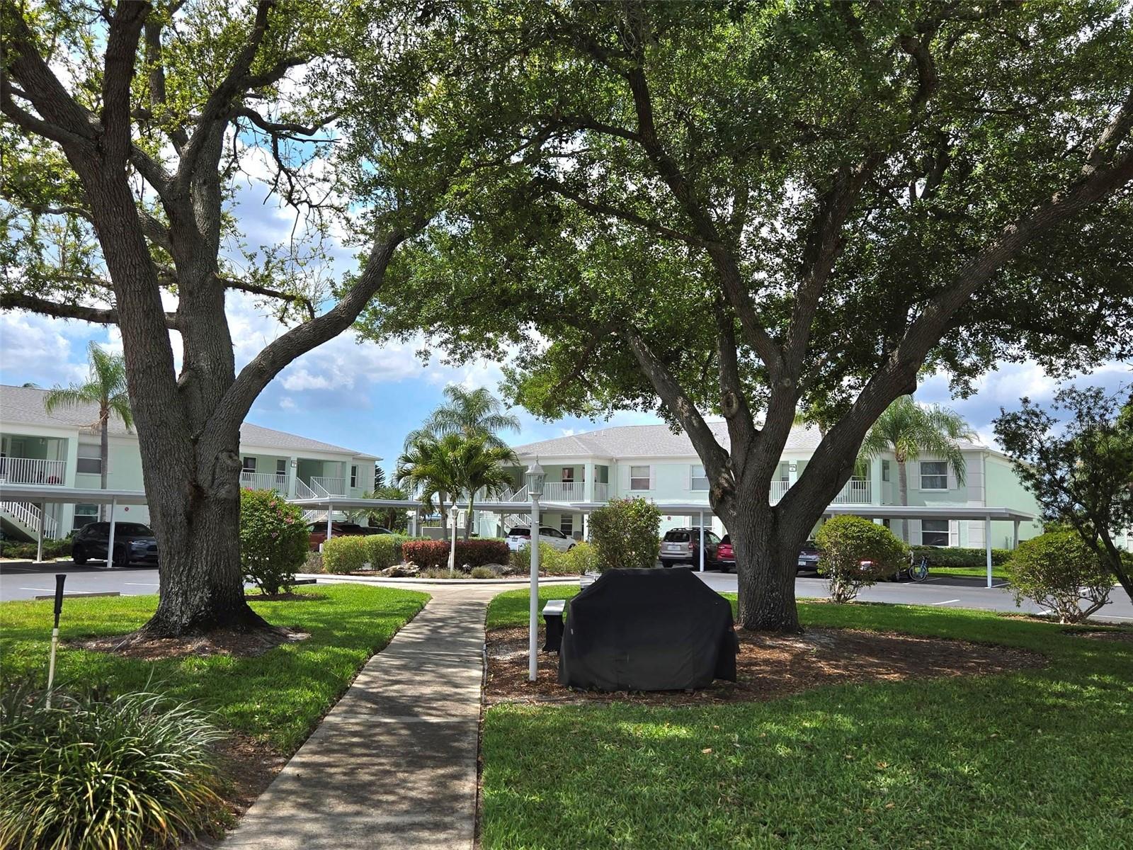 Image 51 of 57 For 5725 Greenwood Avenue 5201