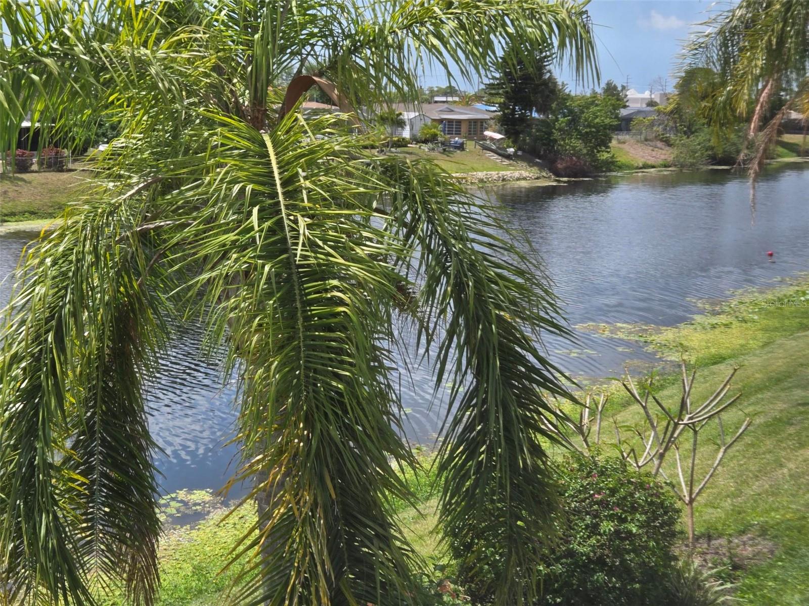 Image 54 of 57 For 5725 Greenwood Avenue 5201