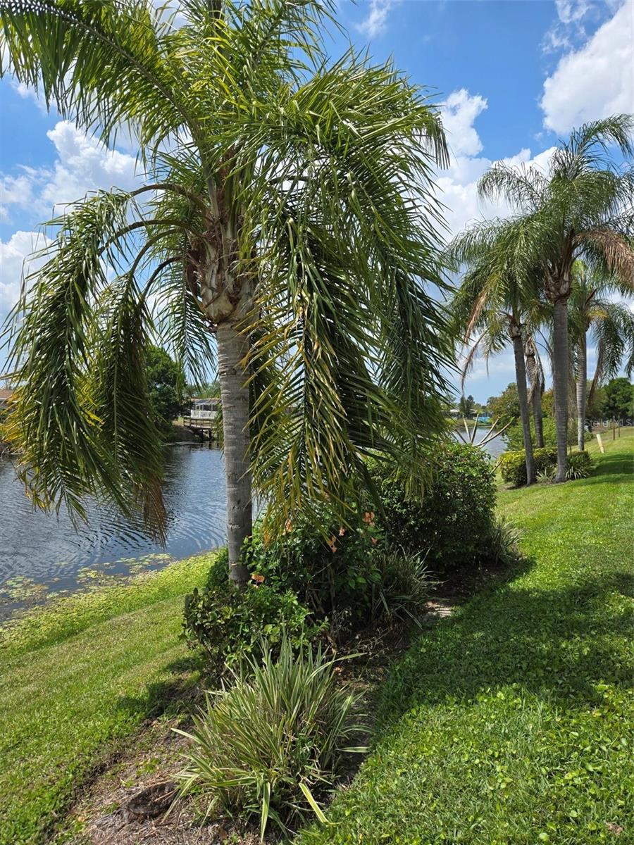 Image 55 of 57 For 5725 Greenwood Avenue 5201